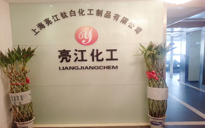 中国 Shanghai Liangjiang Titanium White Product Co., Ltd. 工場